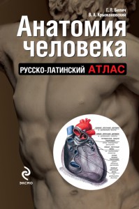 Анатомия человека. Русско-латинский атлас