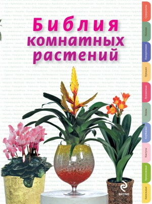 Библия комнатных растений