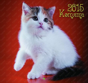Календарь 2015. Котята