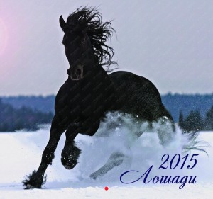 Календарь 2015. Лошади