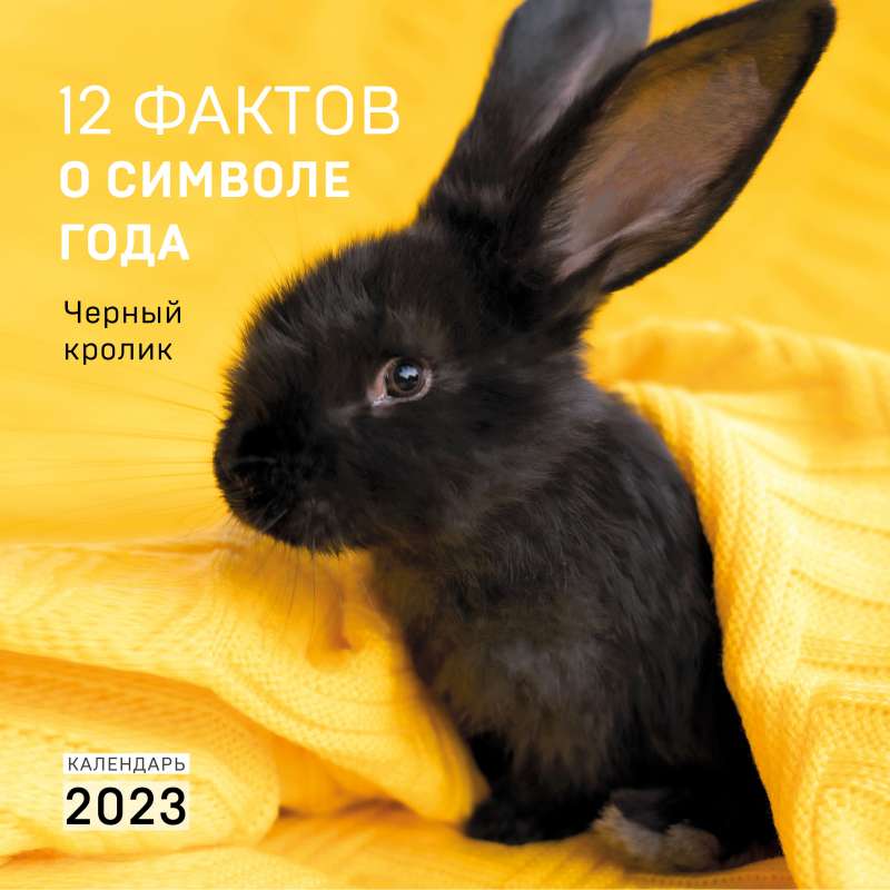 12 фактов о символе года. Черный кролик. Календарь настенный на 2023 год