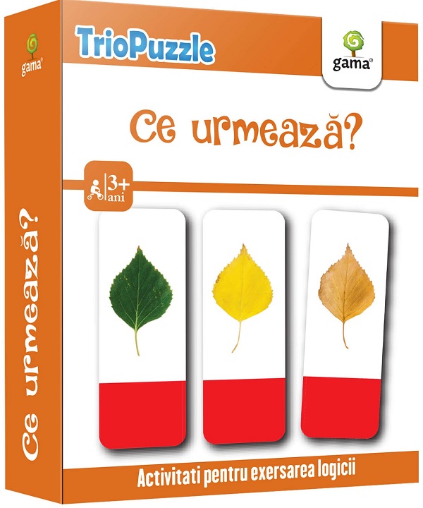 Ce urmeaza? Trio puzzle