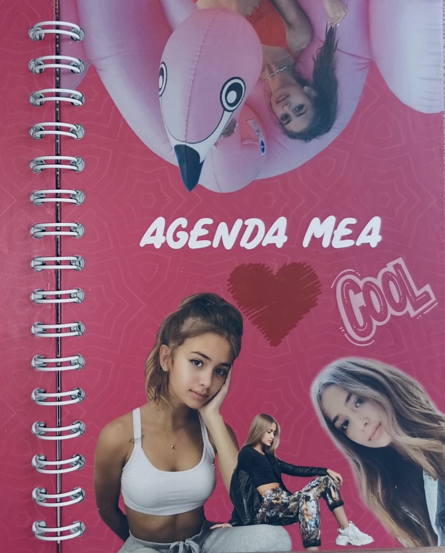 Agenda Iuliana Beregoi