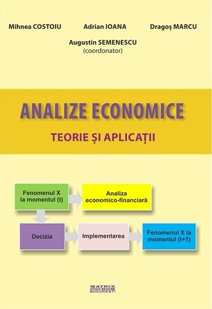 Analiza economica. Teorie si aplicatii