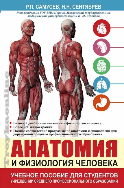 Анатомия и физиология человека