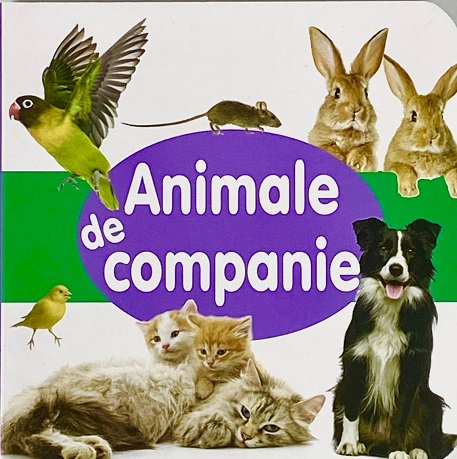 Animale de companie - CARTONATA