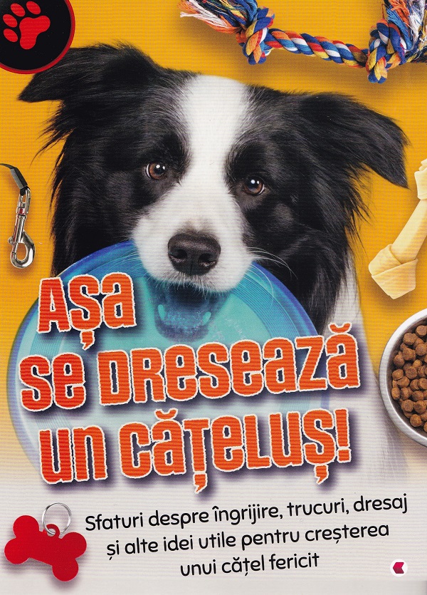 Asa se dreseaza un catelus