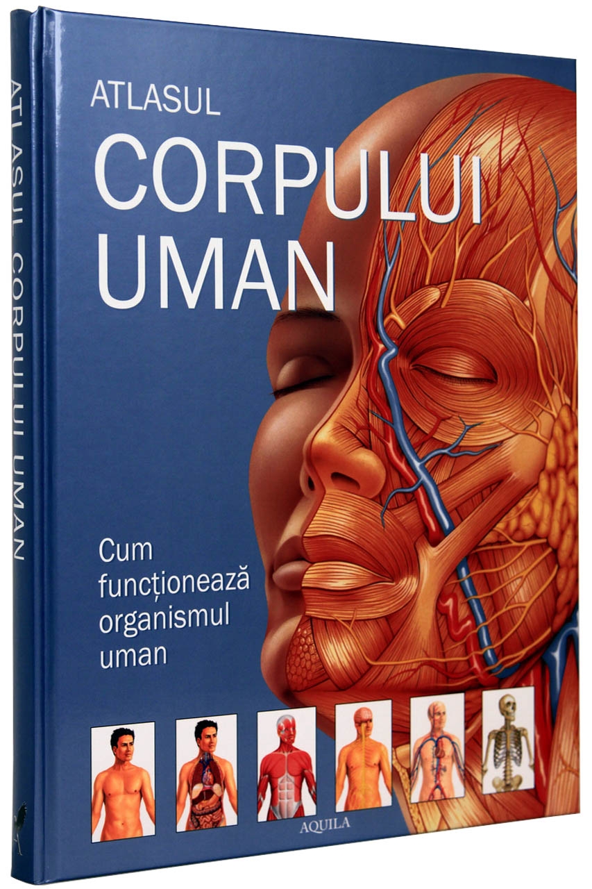 Atlasul corpului uman