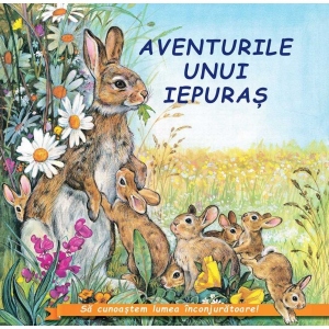 Aventurile unui iepuras