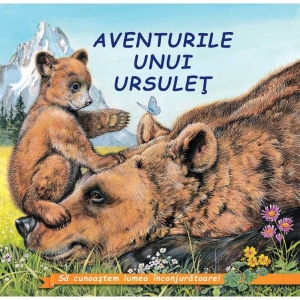 Aventurile unui ursulet