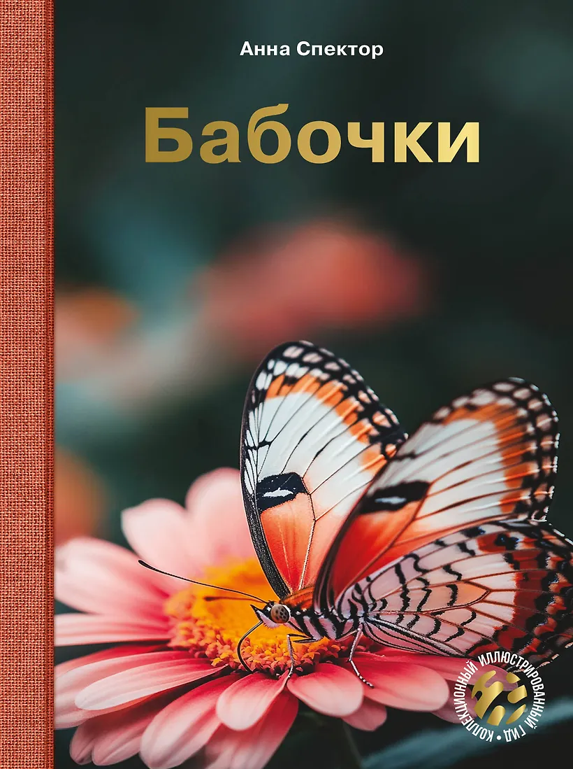 Бабочки