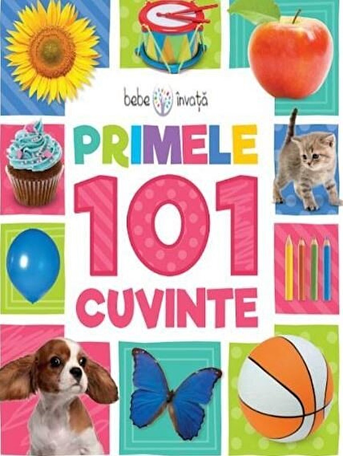 Bebe invata Primele 101 cuvinte