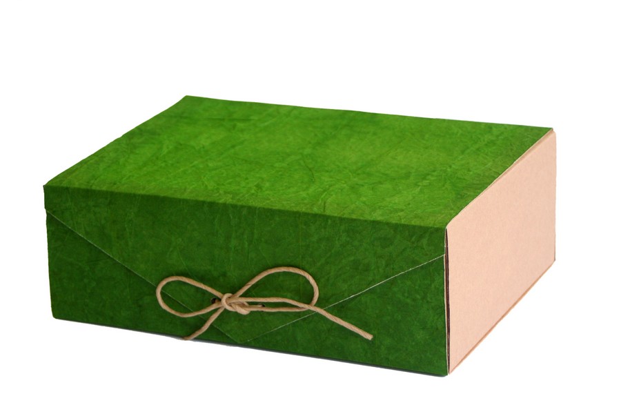 Cadou Craciun verde