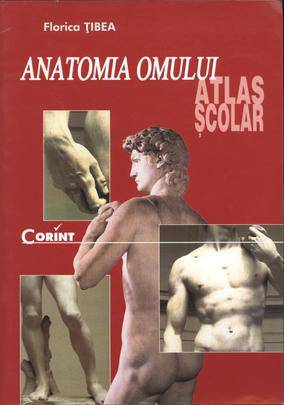 Atlas anatomia omului