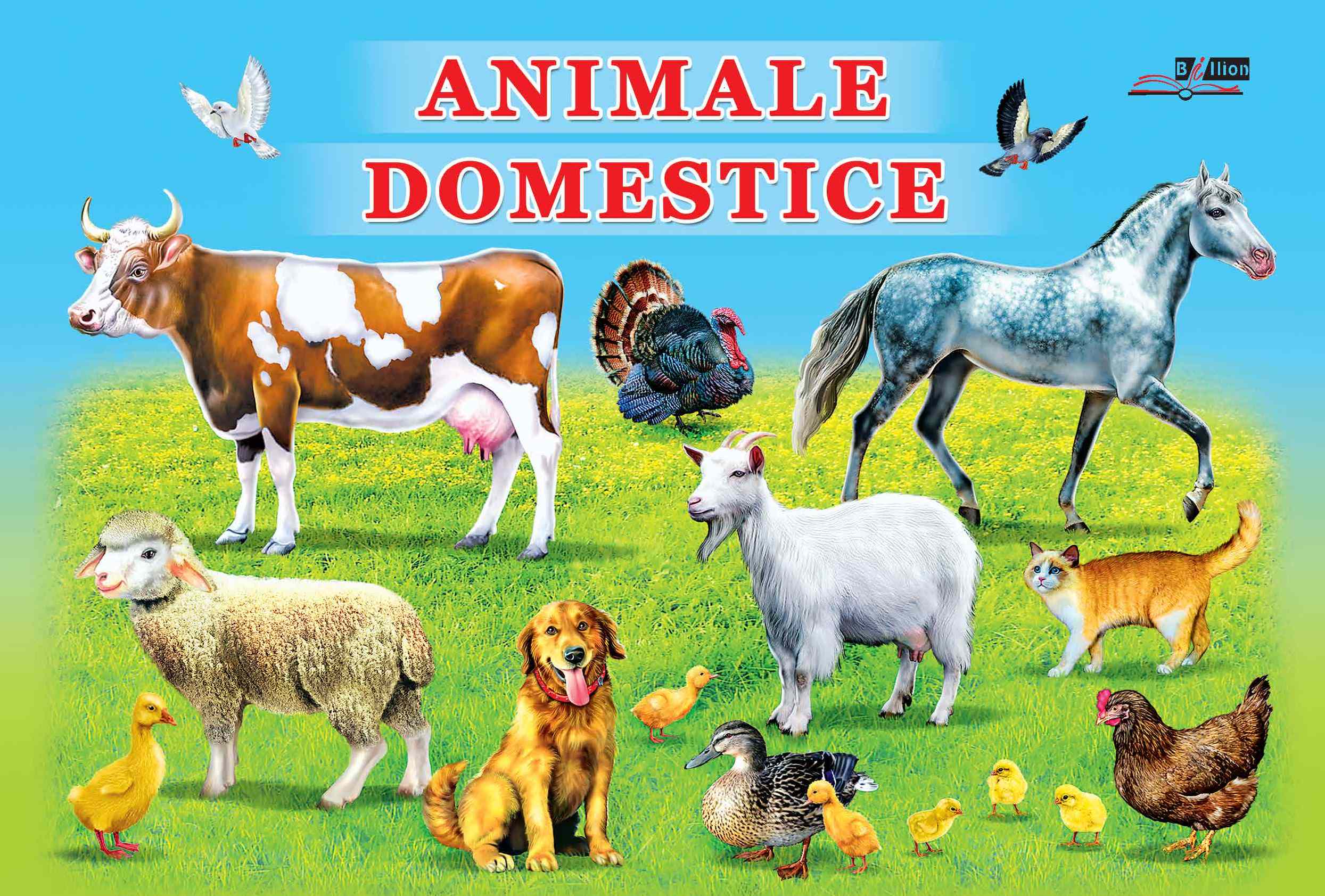 Carton animale domestice