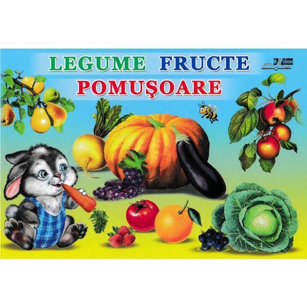 Carton Legume Fructe Pomusoare