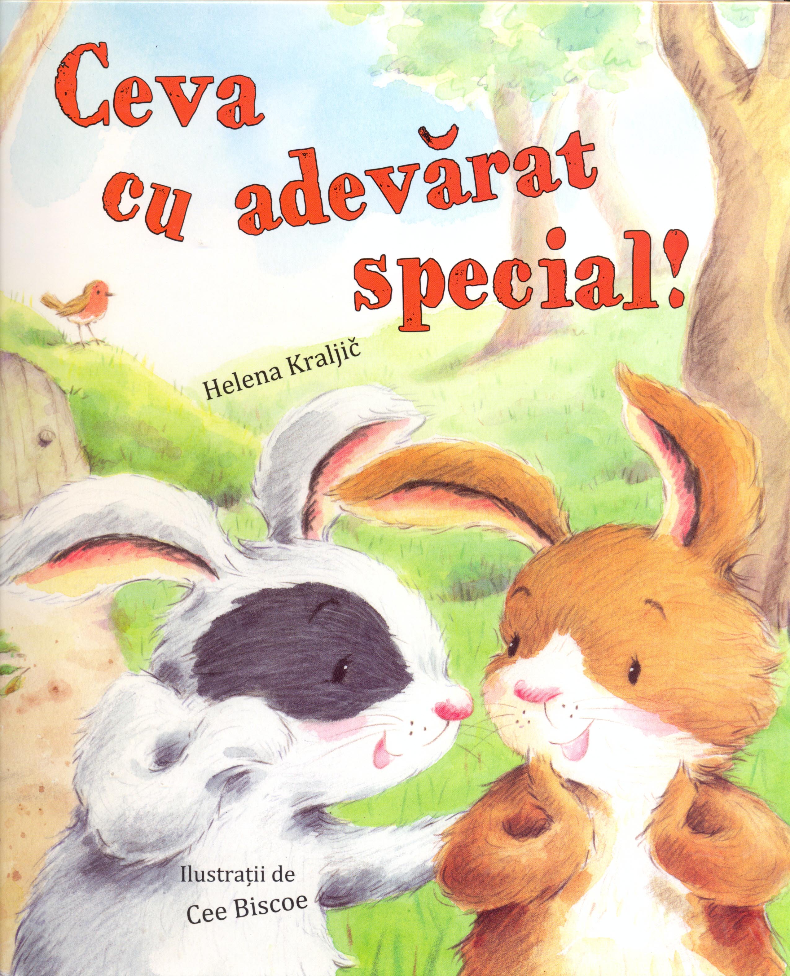 Ceva cu adevarat special