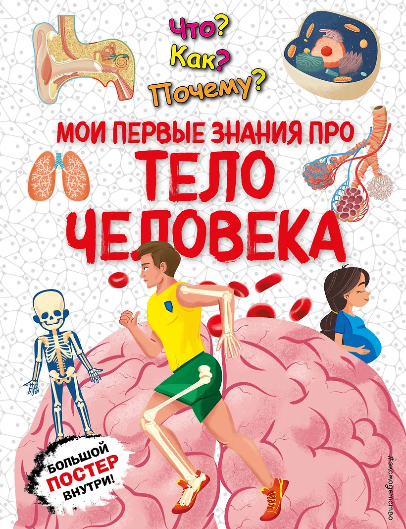 Что? Как? Почему? Мои первые знания про ТЕЛО ЧЕЛОВЕКА (с постером)