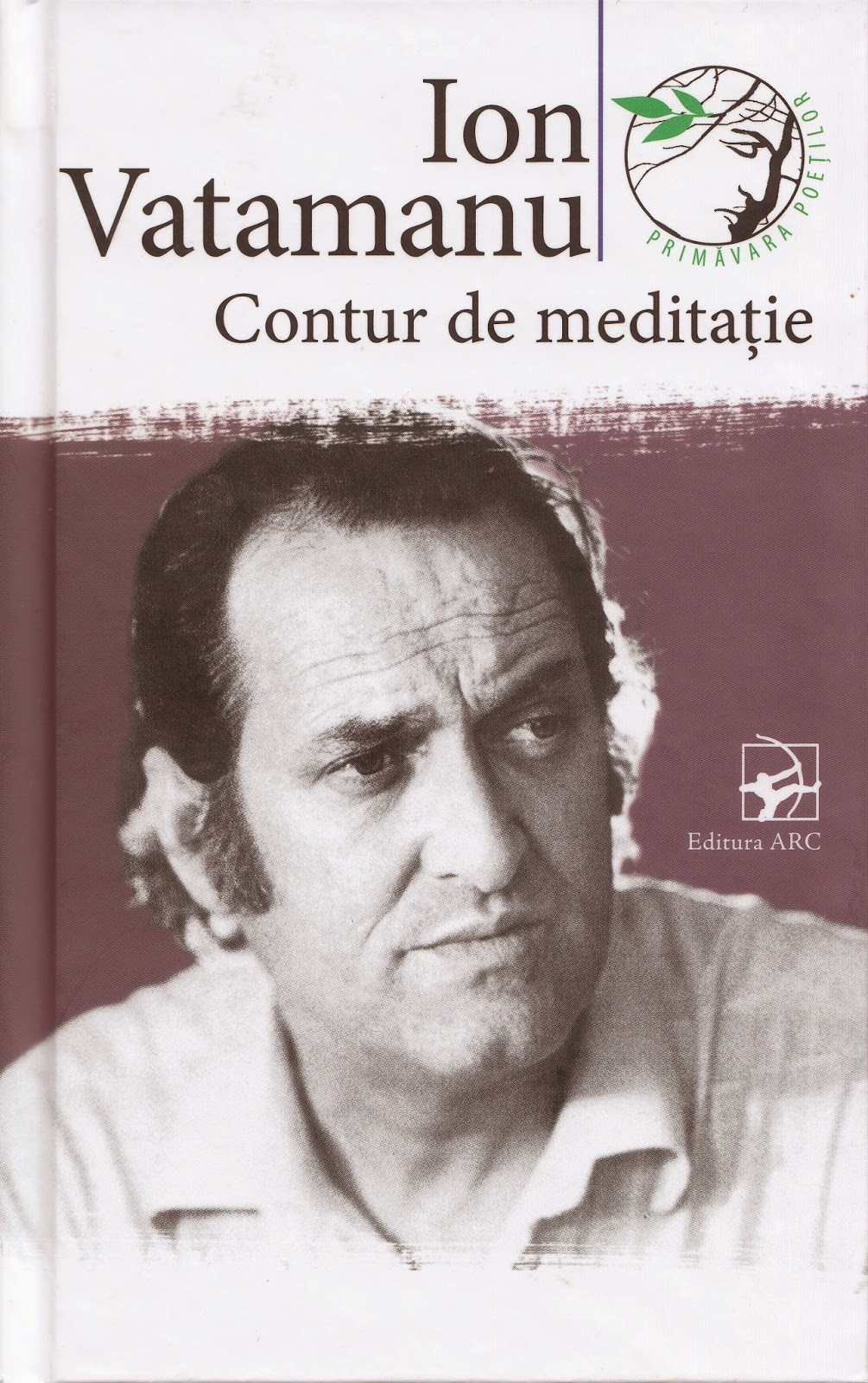 Contur de meditatie. Ion Vatamanu.