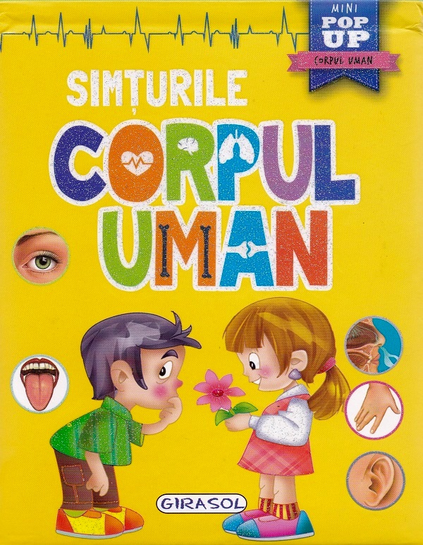 Corpul uman - Simturile