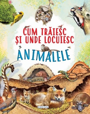 Cum traiesc si unde locuiesc animalele