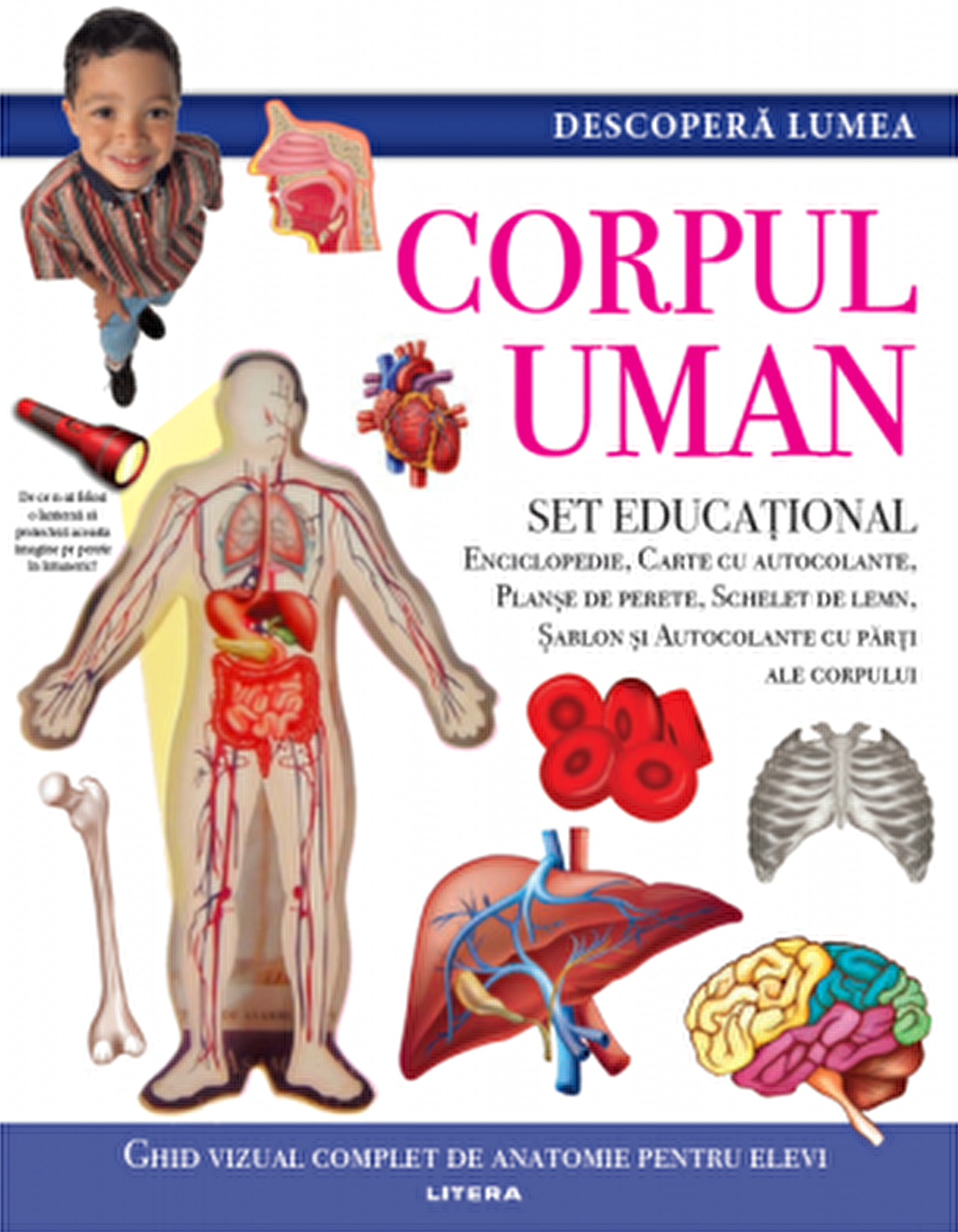 DESCOPERA LUMEA. CORPUL UMAN