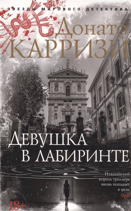 Девушка в лабиринте (мягк/обл.)