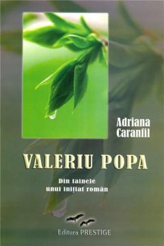 Din tainele unui initial roman.
