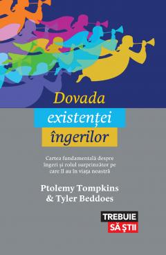 Dovada existentei ingerilor