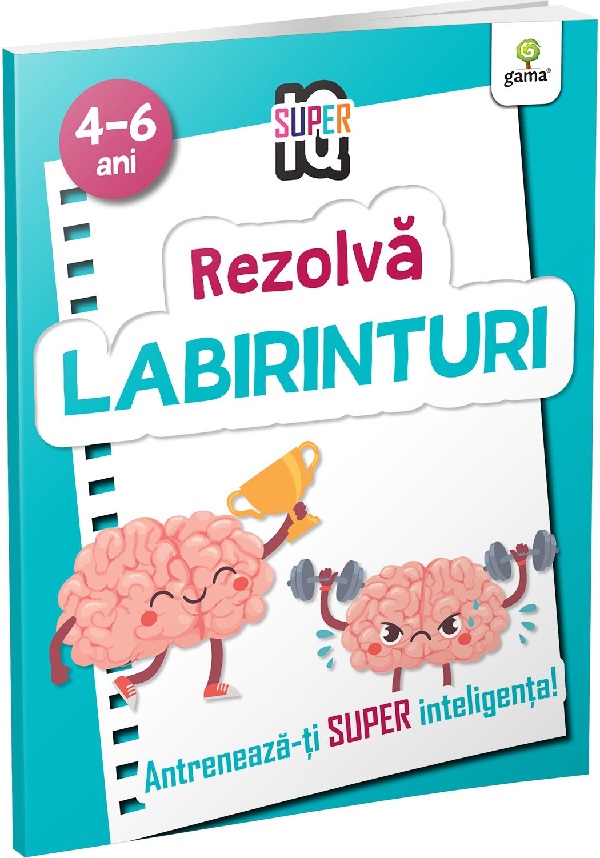 Rezolva labirinturi