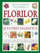 Enciclopedie ilustarta a florilor si florei