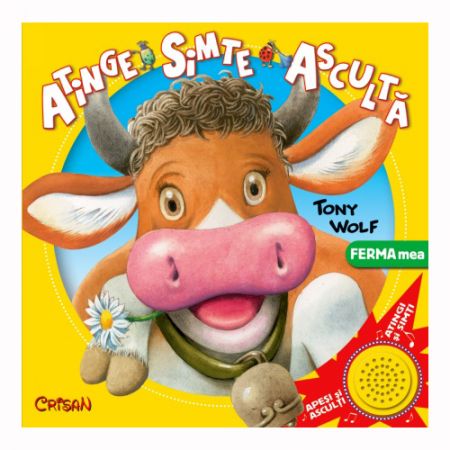 Ferma mea (Atinge-Simte-Asculta)