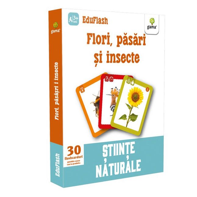 Flori pasari si insecte