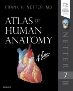 Frank H. Netter Atlas of Human Anatomy (Netter Basic Science) 7th Edition. – Philadelphia: Publisher: Elsevier 2019