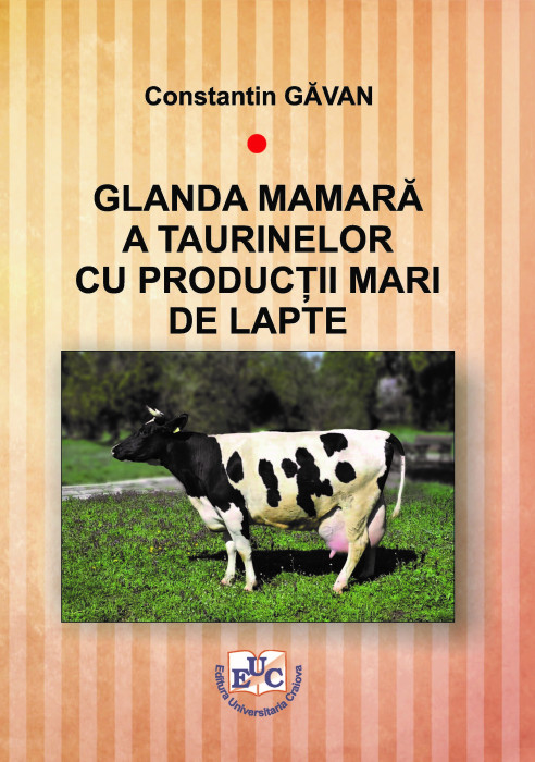 Glanda mamara a taurinelor cu productii mari de lapte