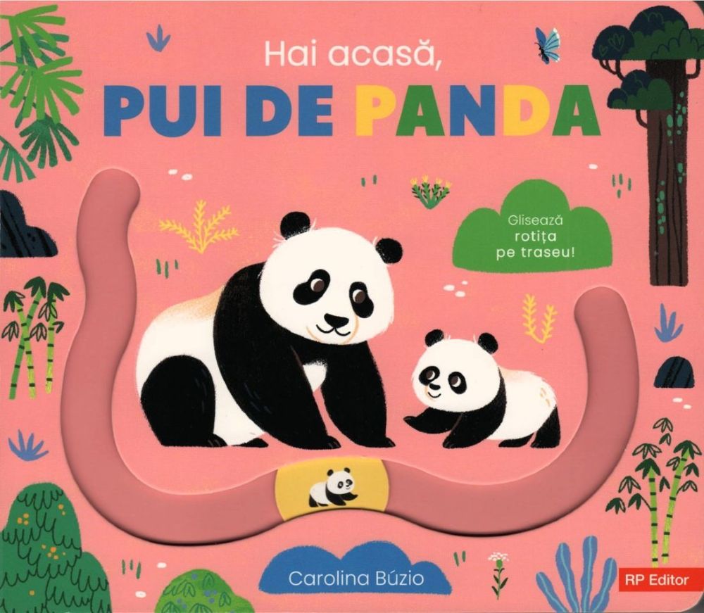Hai acasa pui de panda
