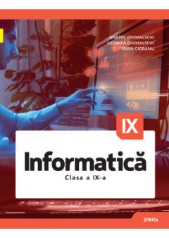 Informatica Clasa IX  Manual