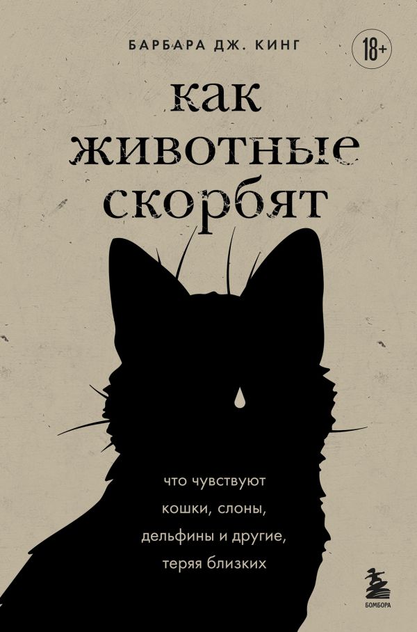Как животные скорбят. Что чувствуют кошки слоны дельфины и другие теряя близких