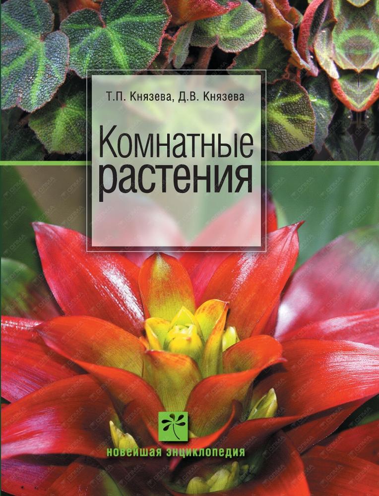 Комнатные растения