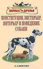 Конституция экстерьер интерьер и поведение собаки