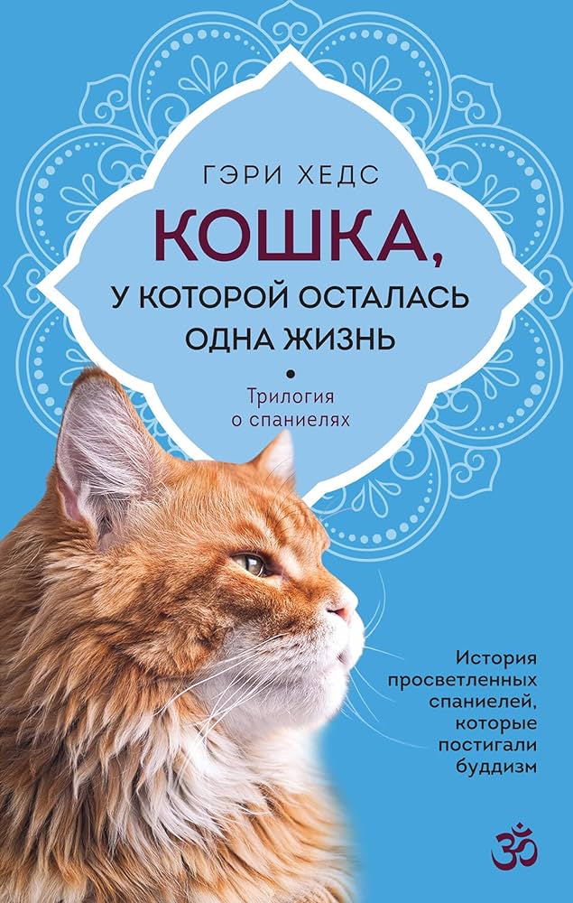 Кошка у которой осталась одна жизнь