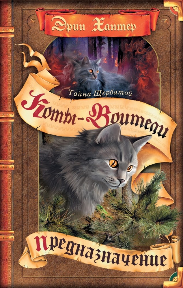 Коты-воители. Цикл "Тайна Щербатой". Предназначение