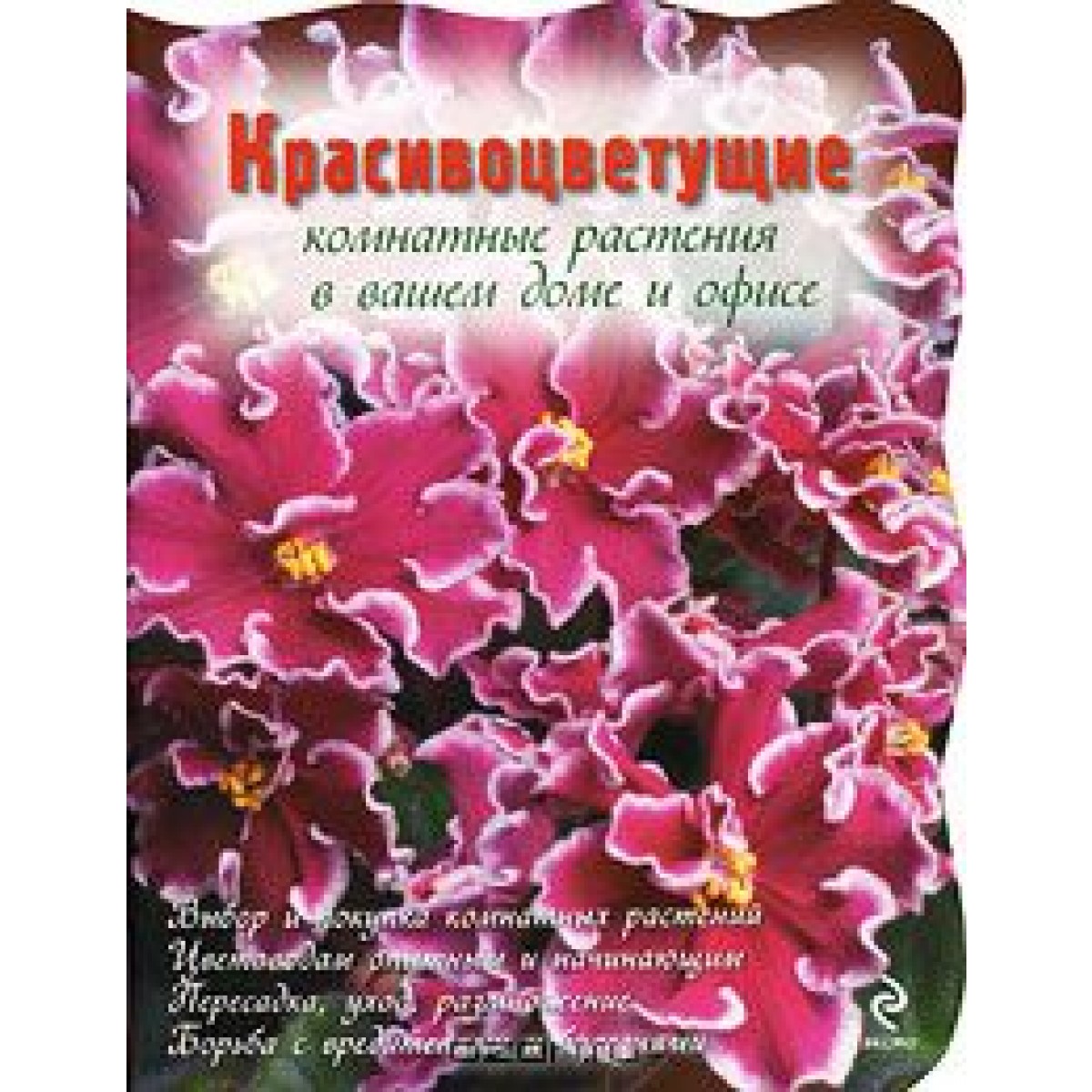 Красивоцветущие комнатные растения в вашем офисе
