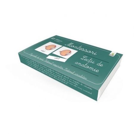 Lectii de anatomie:Organe de simt.Sistemul respirator.Sistemul circulator/ Lectii Montessori