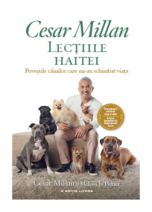 LECTIILE HAITEI. Cesar Millan