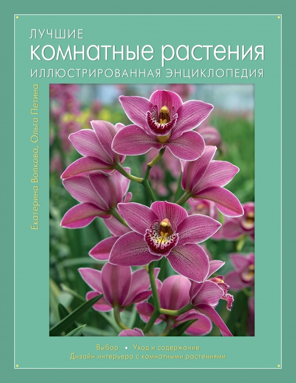 Лучшие комнатные растения. Иллюстрированная энциклопедия