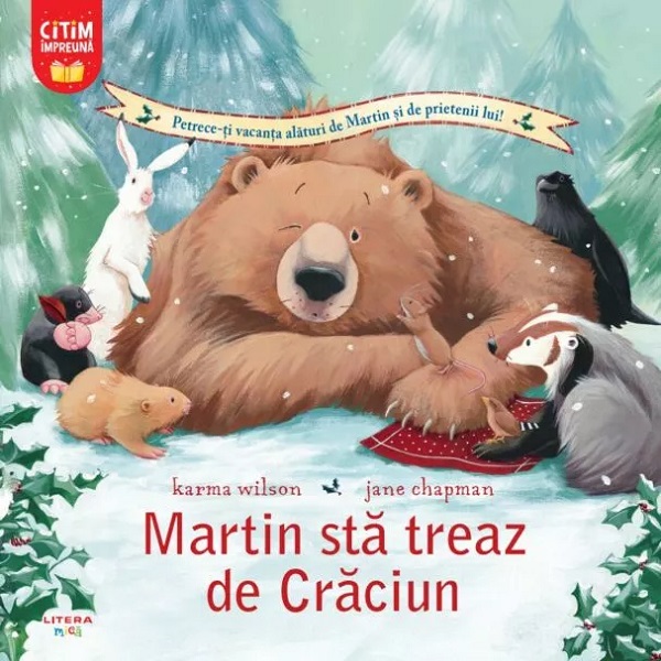 MARTIN STA TREAZ DE CRACIUN.