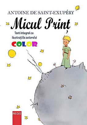 Micul Print