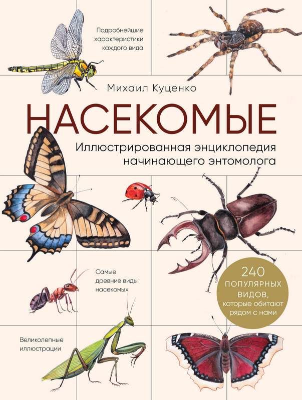 Насекомые. Иллюстрированная энциклопедия начинающего энтомолога