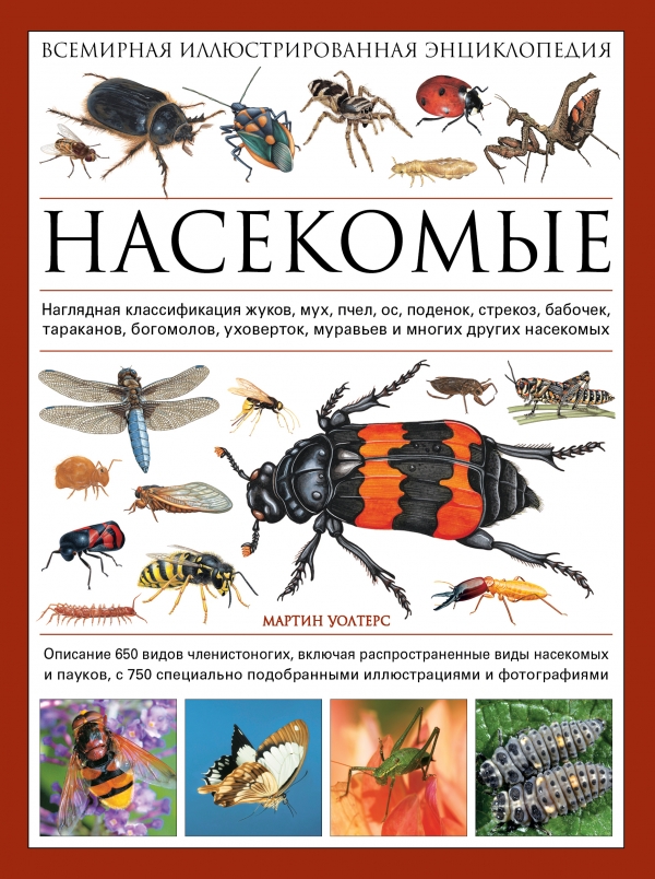 Насекомые. Всемирная иллюстрированная энциклопедия